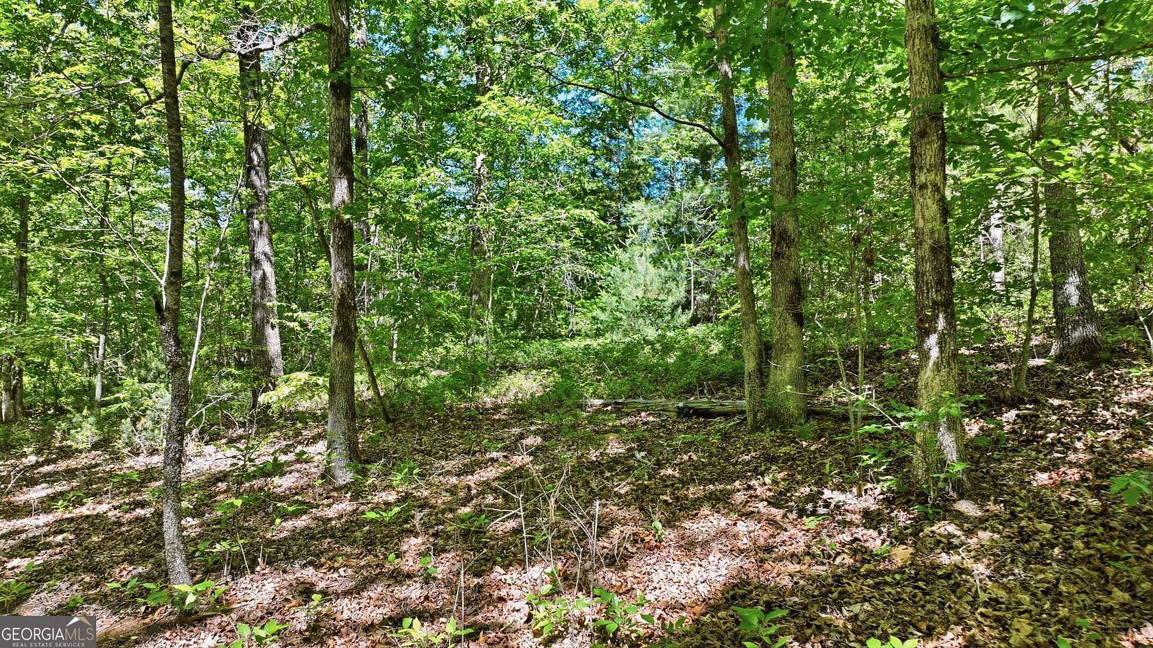 4.88 Acres of Residential Land for Sale in Clarkesville, Georgia