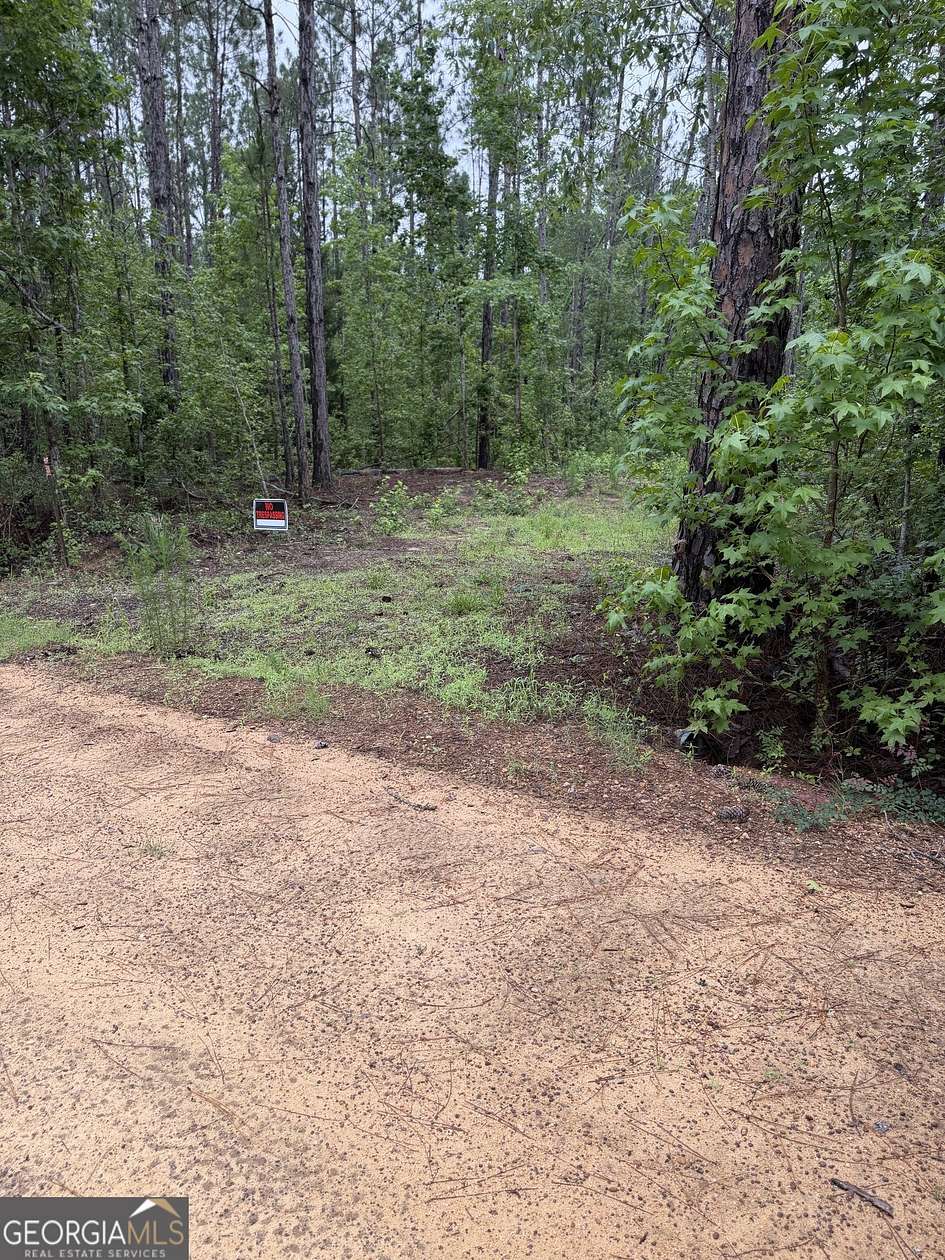 3.3 Acres of Residential Land for Sale in Cadwell, Georgia