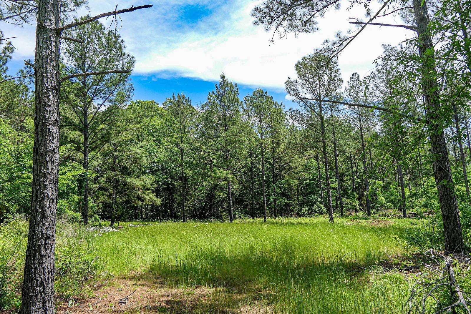35 Acres of Recreational & Residential Land for Sale in Union, South Carolina