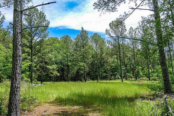 35 Acres of Recreational & Residential Land for Sale in Union, South Carolina