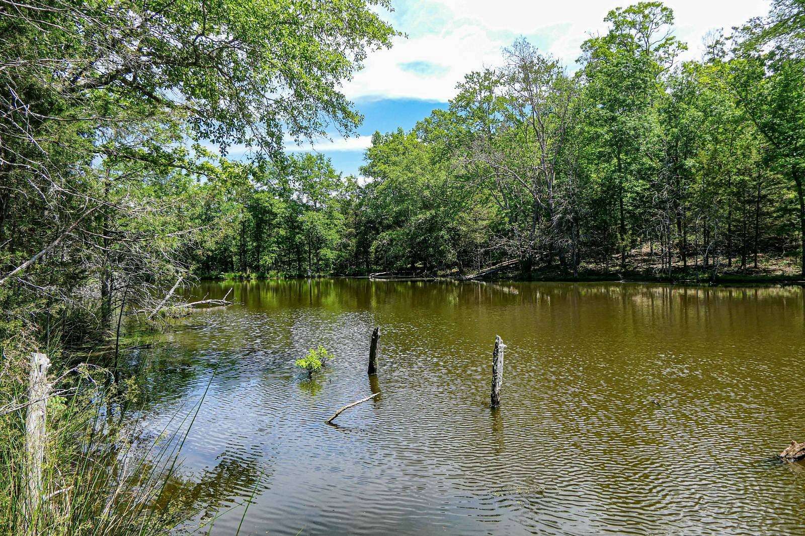 49 Acres of Recreational & Residential Land for Sale in Union, South Carolina