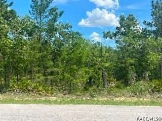 0.28 Acres of Land for Sale in Homosassa, Florida