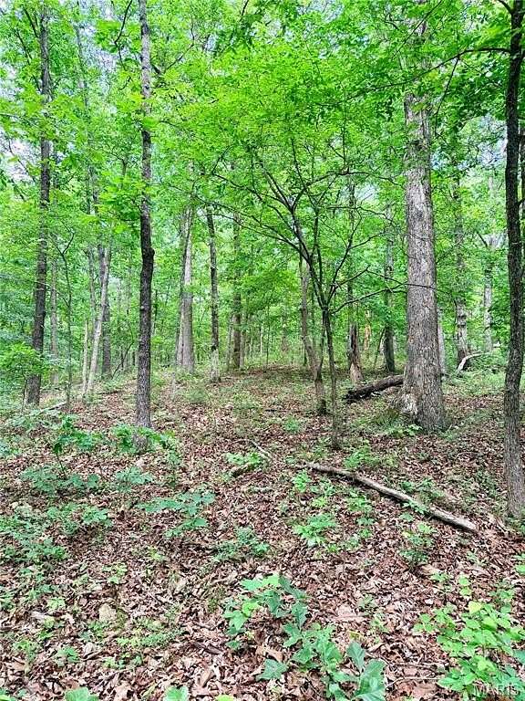 14 Acres of Recreational & Residential Land for Sale in Poplar Bluff, Missouri