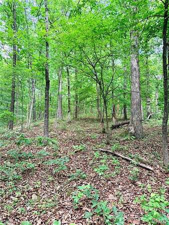 14 Acres of Recreational & Residential Land for Sale in Poplar Bluff, Missouri
