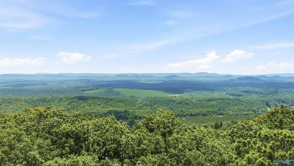11.9 Acres of Land with Home for Sale in Gaylesville, Alabama