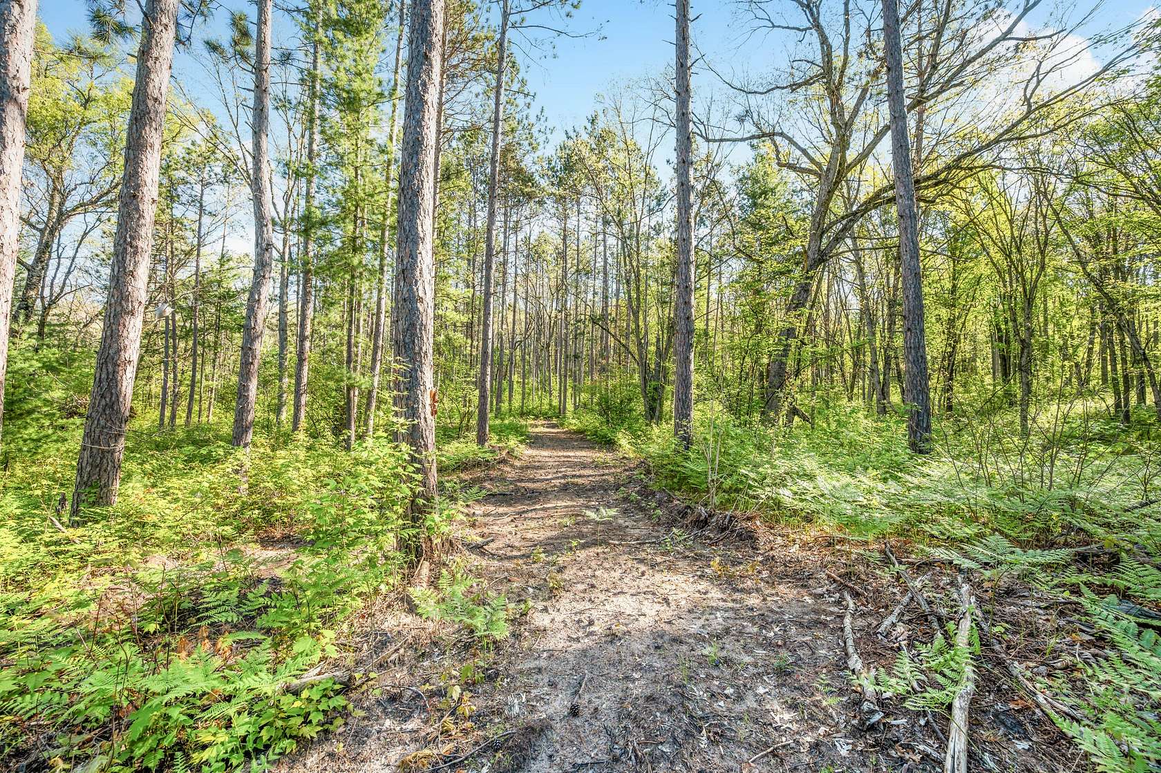 0.96 Acres of Land for Sale in Baldwin, Michigan