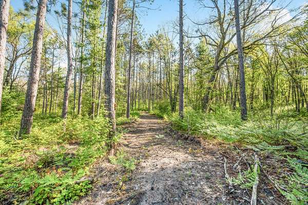0.96 Acres of Land for Sale in Baldwin, Michigan