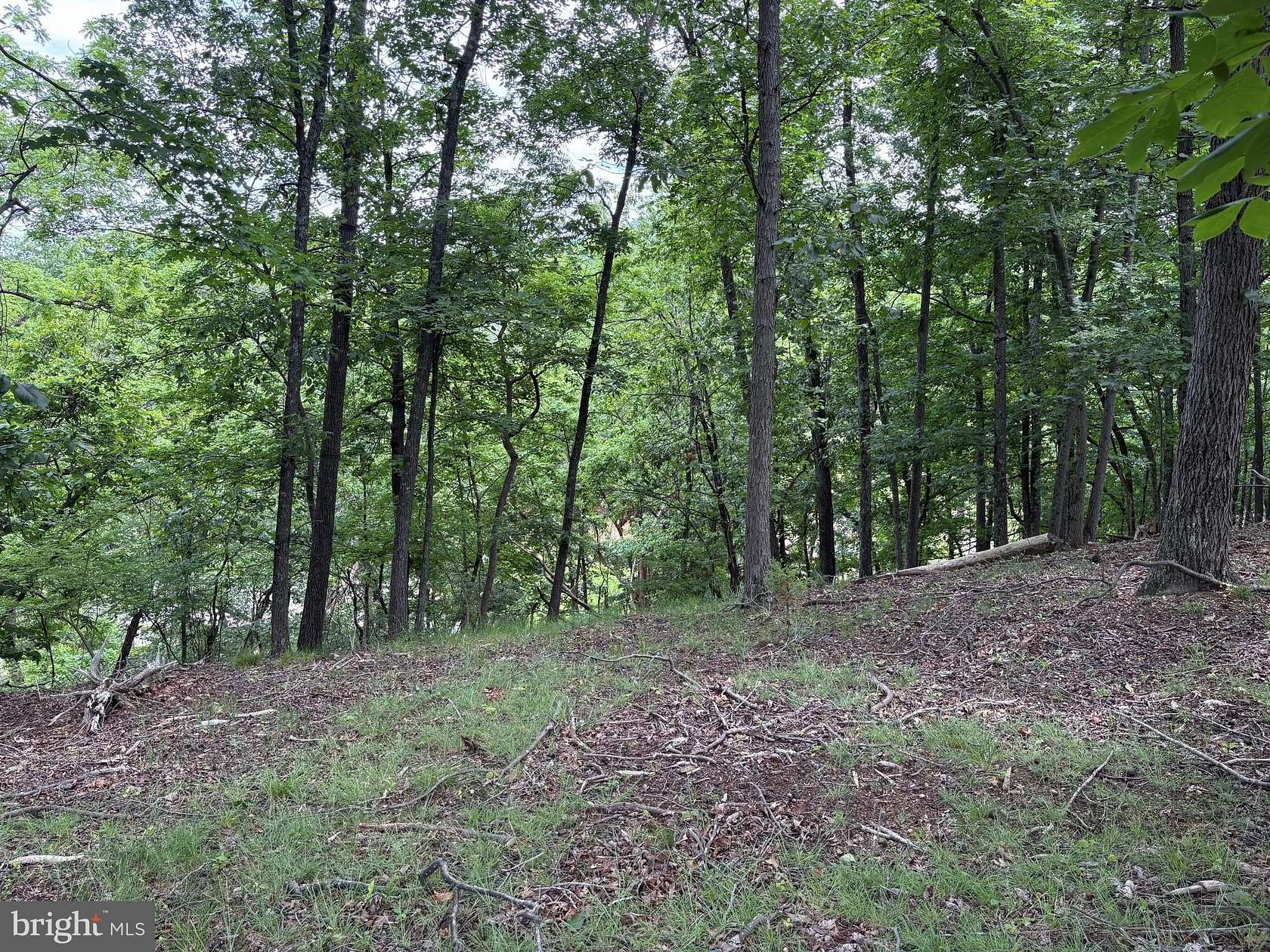 1.17 Acres of Residential Land for Sale in Romney, West Virginia