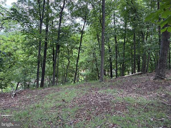 1.17 Acres of Residential Land for Sale in Romney, West Virginia