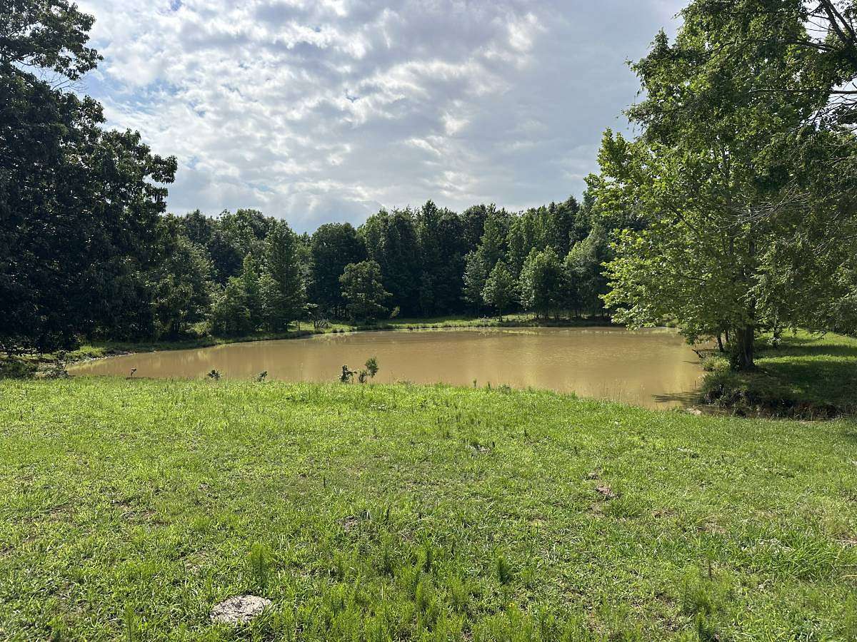 60 Acres of Land for Sale in Maynard, Arkansas