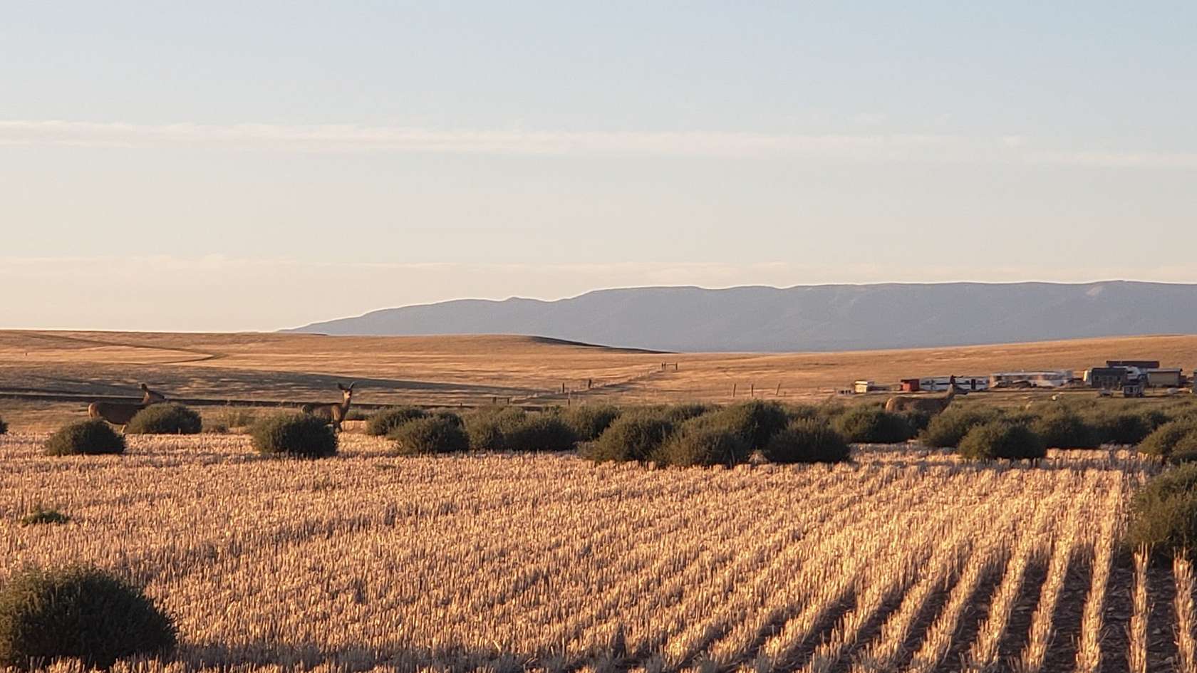 40 Acres of Recreational & Residential Land for Sale in Shawmut, Montana