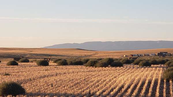 40 Acres of Recreational & Residential Land for Sale in Shawmut, Montana