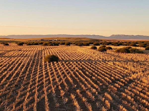 40 Acres of Recreational & Residential Land for Sale in Shawmut, Montana