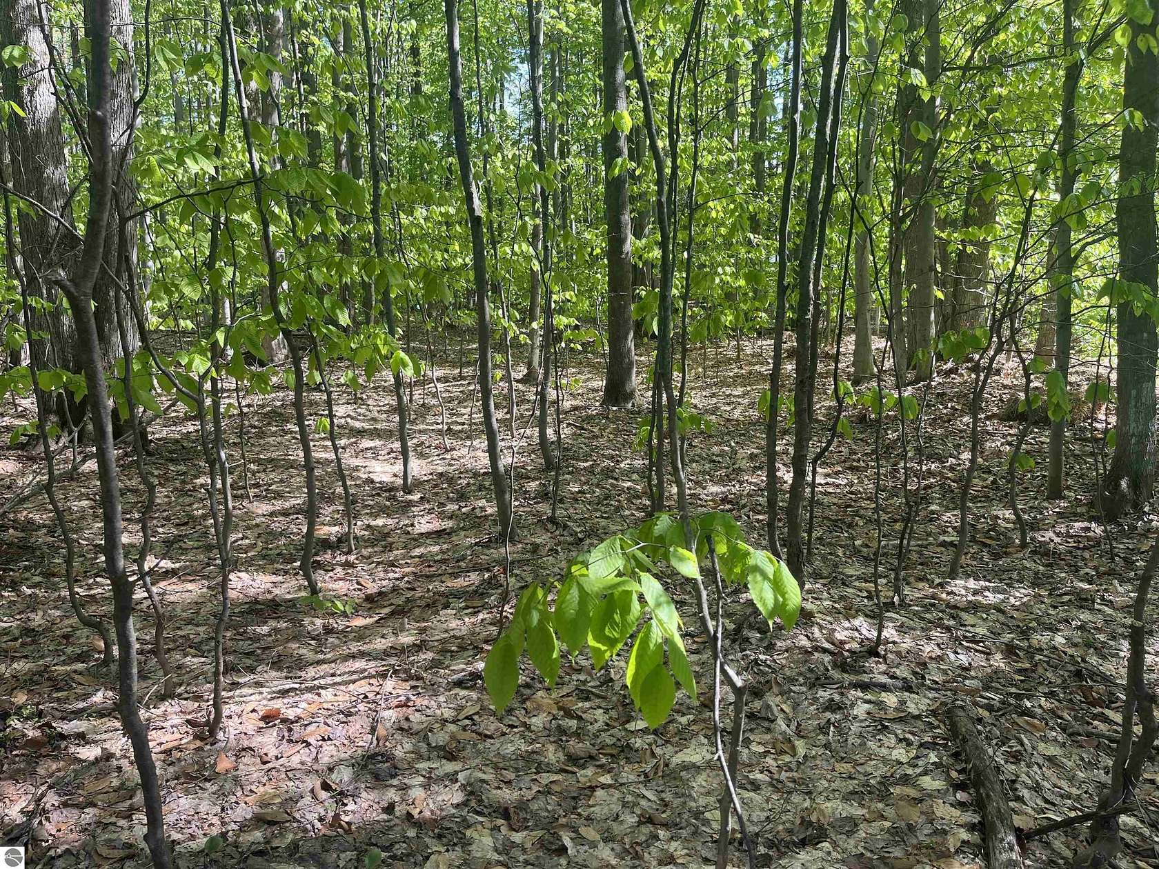 0.43 Acres of Residential Land for Sale in Lake Ann, Michigan