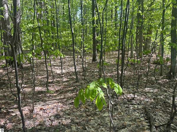 0.43 Acres of Residential Land for Sale in Lake Ann, Michigan