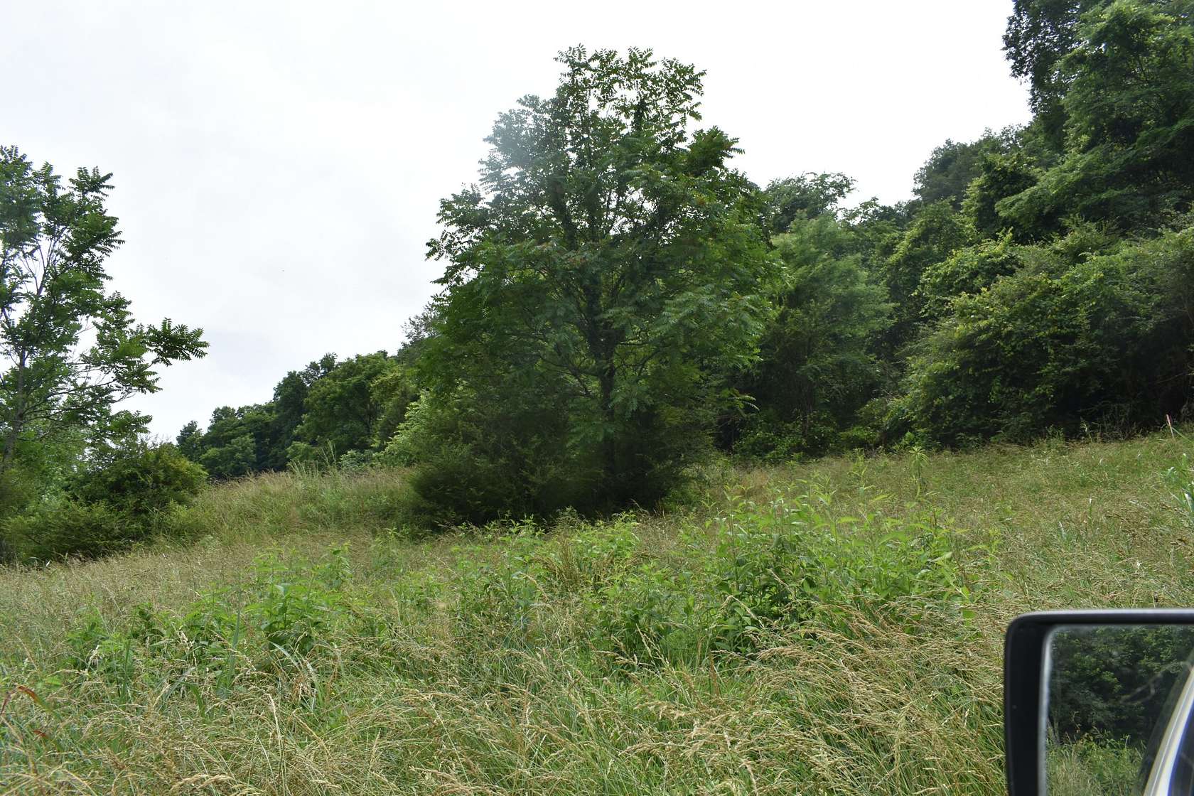 5 Acres of Residential Land for Sale in Pleasant Shade, Tennessee