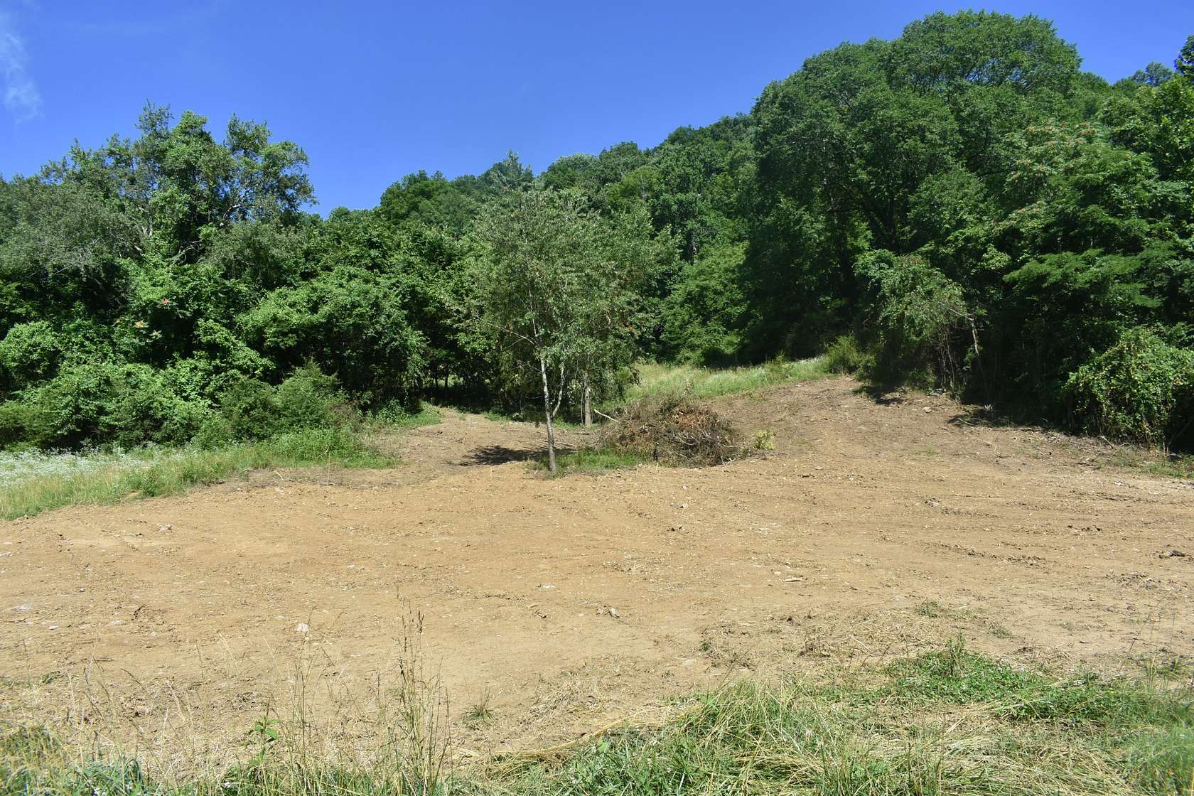 5 Acres of Residential Land for Sale in Pleasant Shade, Tennessee