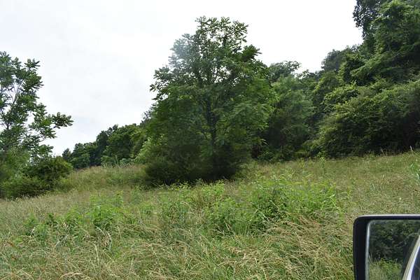 5 Acres of Residential Land for Sale in Pleasant Shade, Tennessee