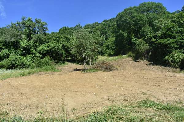5 Acres of Residential Land for Sale in Pleasant Shade, Tennessee