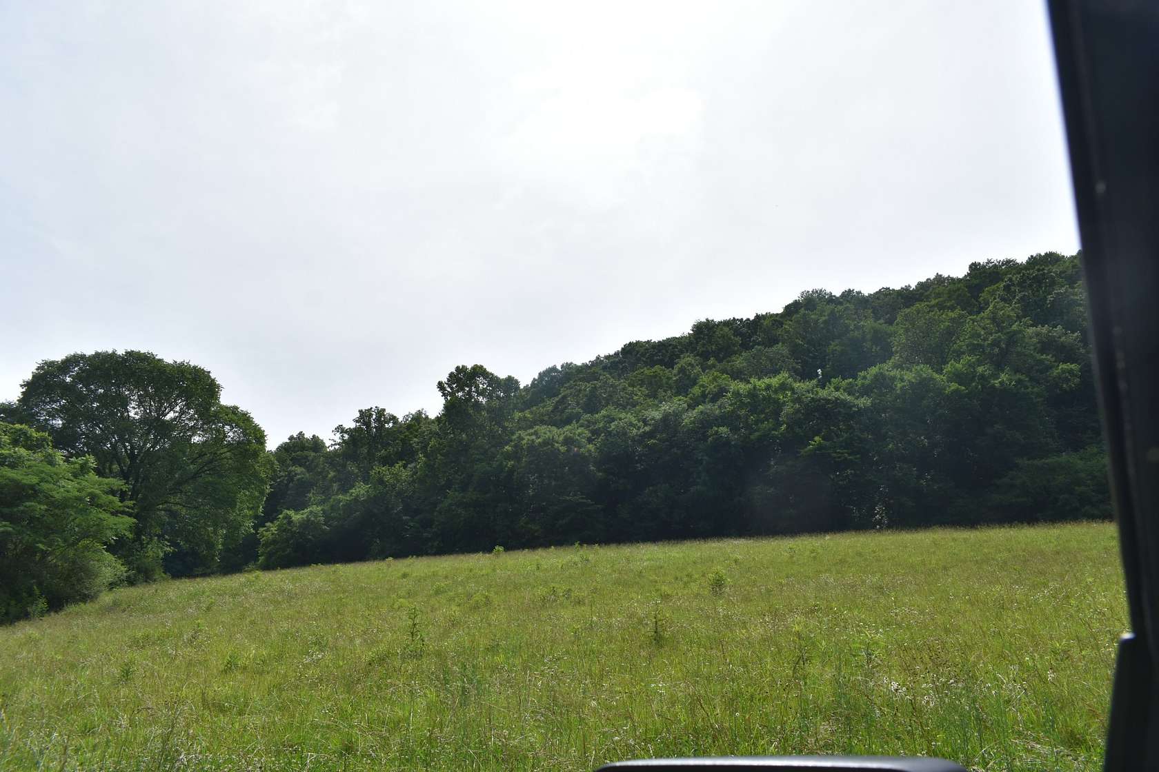 5 Acres of Residential Land for Sale in Pleasant Shade, Tennessee