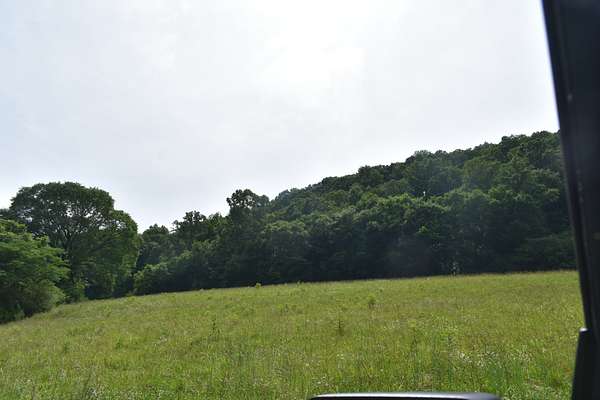 5 Acres of Residential Land for Sale in Pleasant Shade, Tennessee
