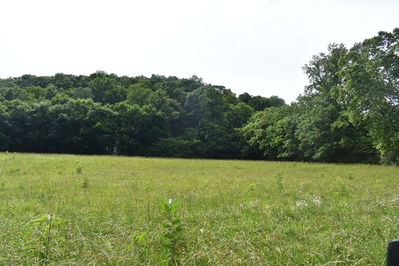 5 Acres of Residential Land for Sale in Pleasant Shade, Tennessee