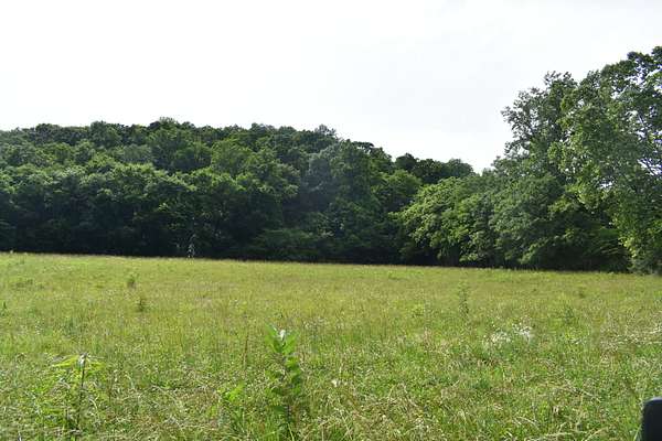 5 Acres of Residential Land for Sale in Pleasant Shade, Tennessee