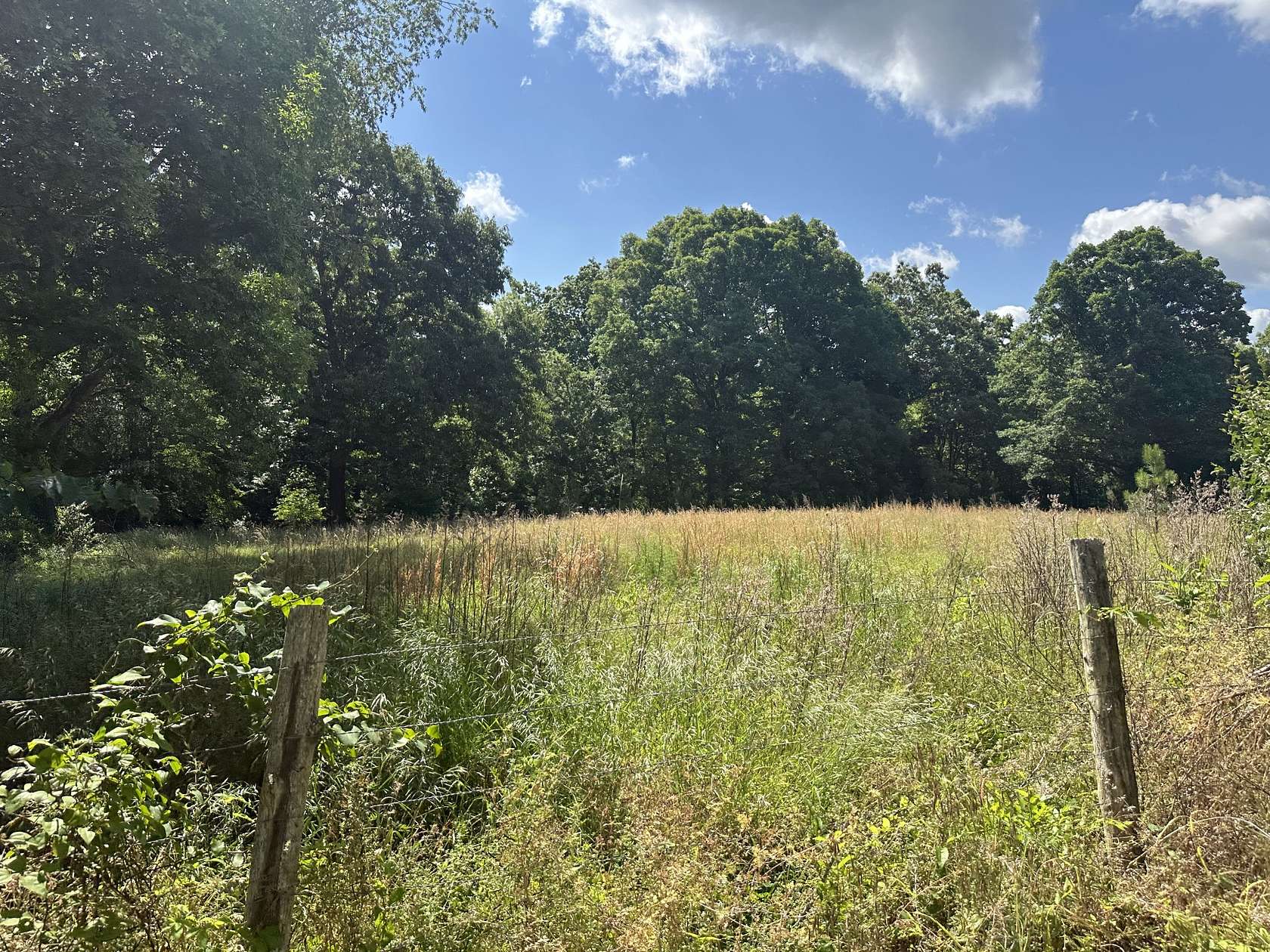 2.64 Acres of Land with Home for Sale in Parsons, Tennessee