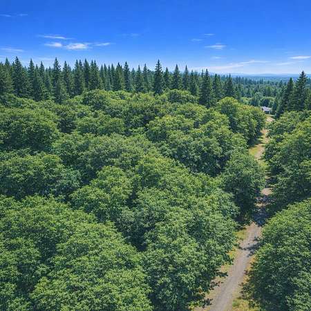 0.41 Acres of Residential Land for Sale in Ashford, Washington