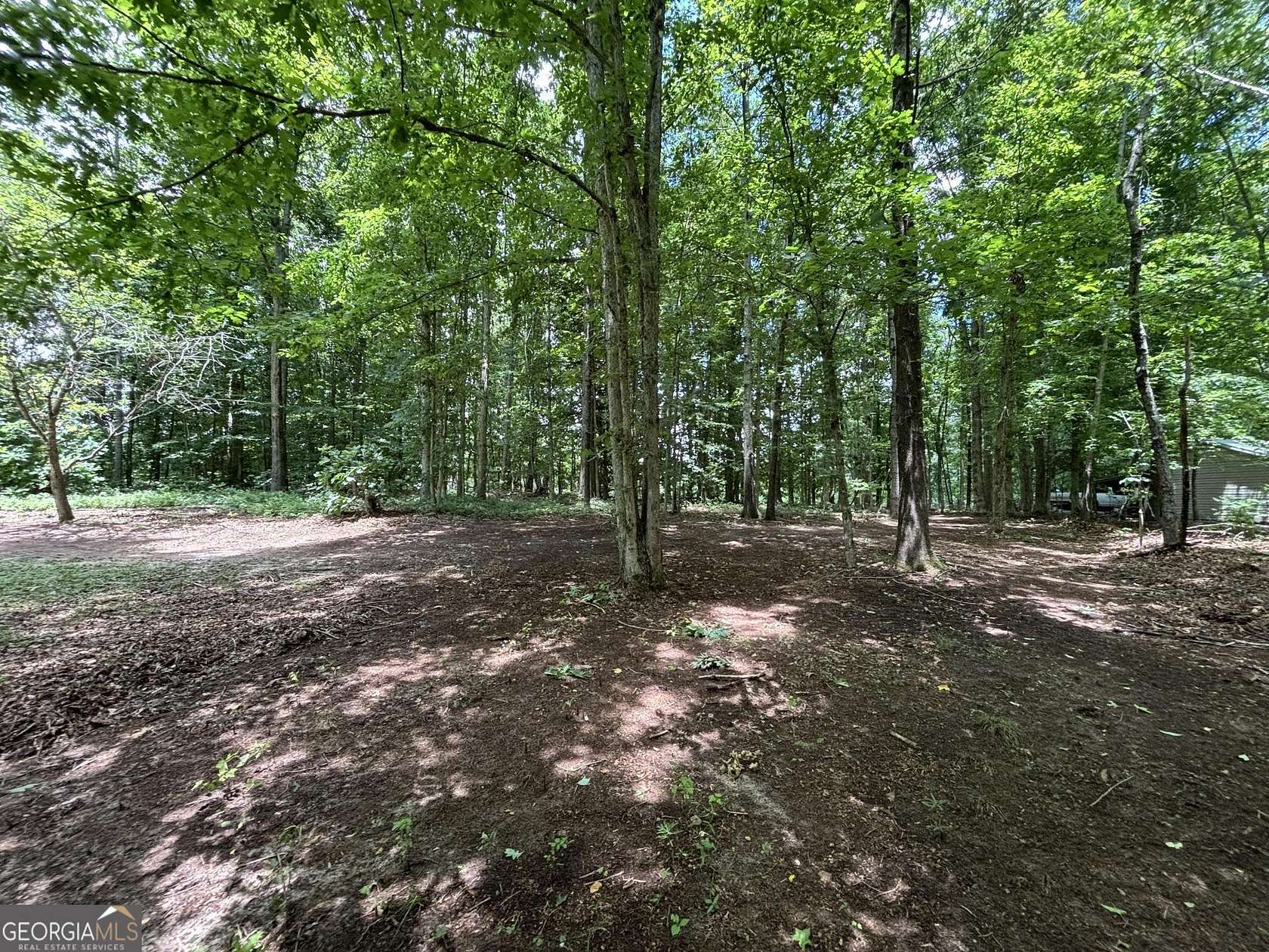 1 Acre of Residential Land for Sale in Cleveland, Georgia