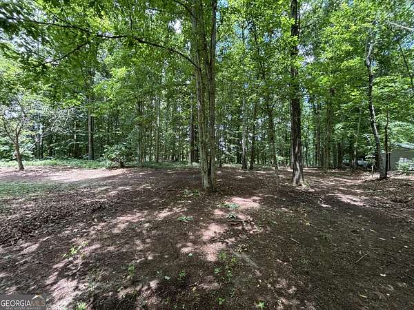 1 Acre of Residential Land for Sale in Cleveland, Georgia