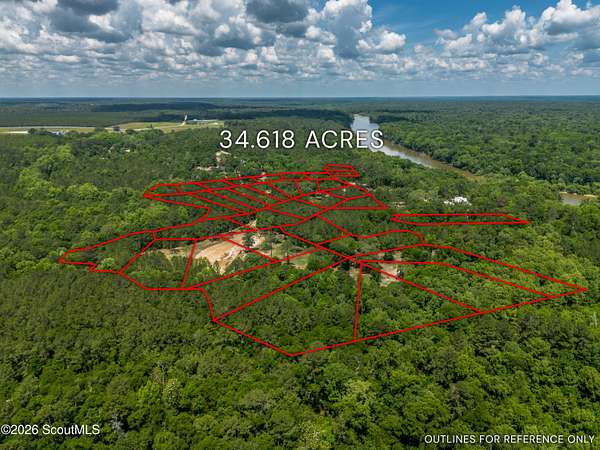34.6 Acres of Recreational & Residential Land for Sale in Jesup, Georgia