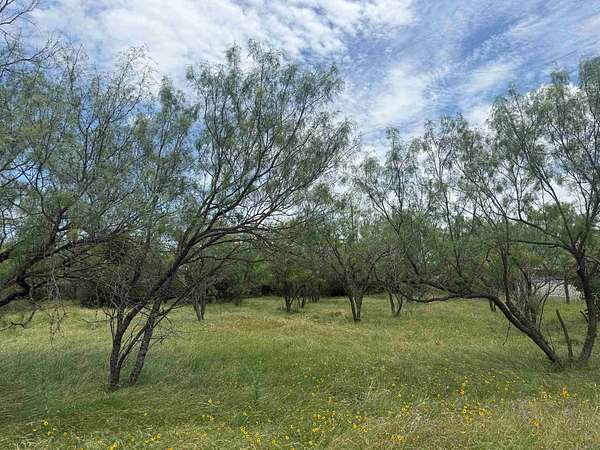 0.11 Acres of Residential Land for Sale in Horseshoe Bay, Texas