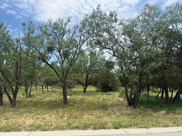0.11 Acres of Residential Land for Sale in Horseshoe Bay, Texas