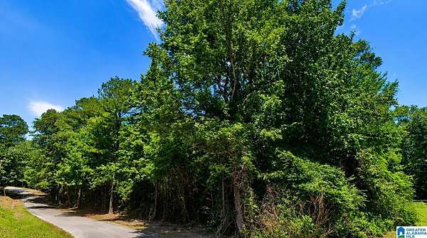 2.6 Acres of Land for Sale in Jasper, Alabama