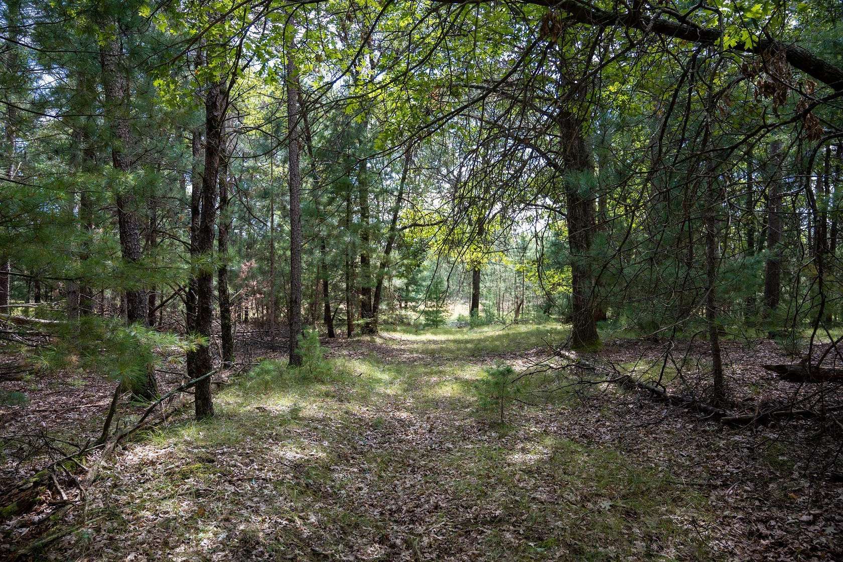 3 Acres of Residential Land for Sale in New Lisbon, Wisconsin