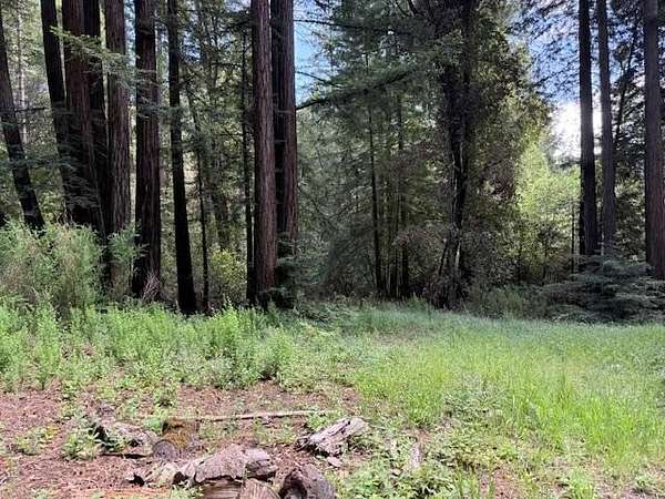 0.5 Acres of Commercial Land for Sale in Felton, California