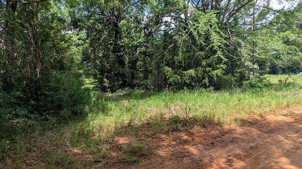133 Acres of Recreational Land for Sale in Elkhart, Texas
