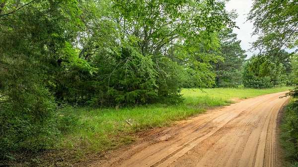 133 Acres of Recreational Land for Sale in Elkhart, Texas
