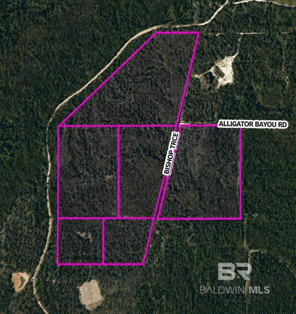 136 Acres of Recreational Land for Sale in Lillian, Alabama