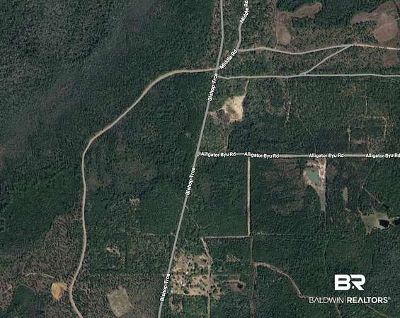 136 Acres of Recreational Land for Sale in Lillian, Alabama