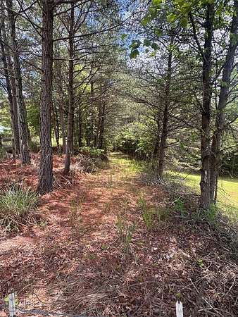 1.87 Acres of Residential Land for Sale in Blairsville, Georgia