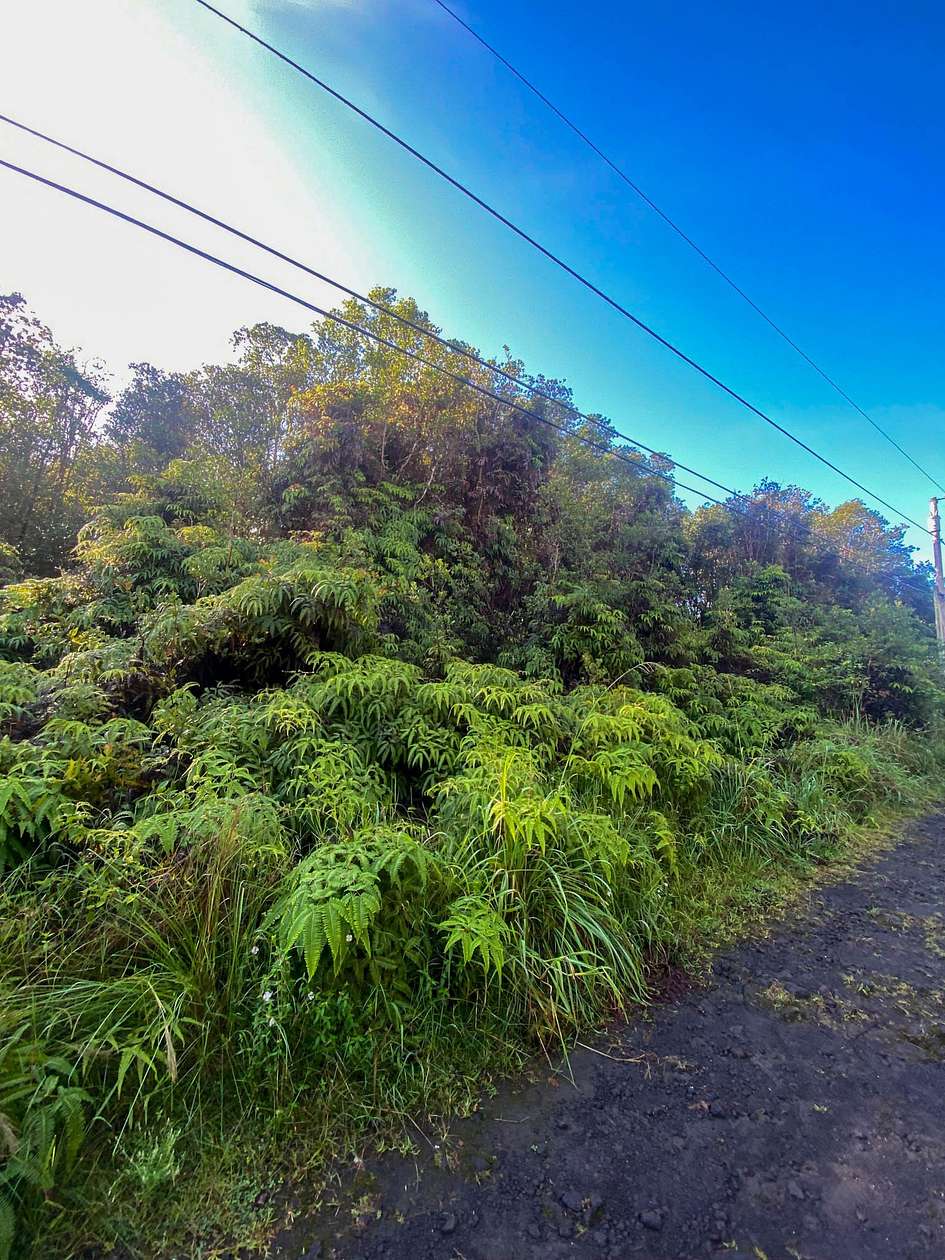 0.19 Acres of Residential Land for Sale in Mountain View, Hawaii