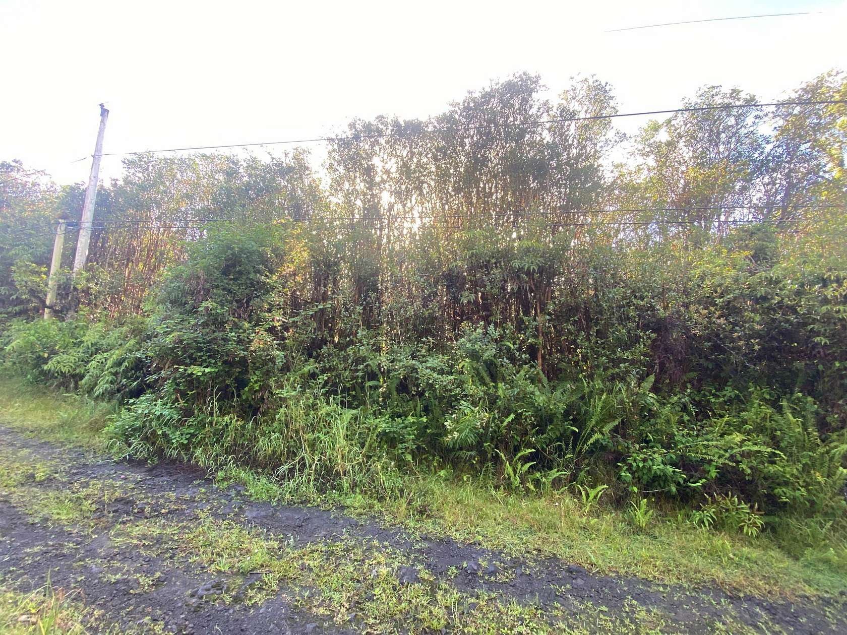 0.19 Acres of Residential Land for Sale in Mountain View, Hawaii