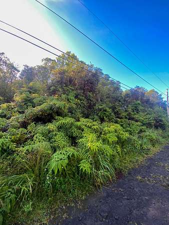 0.19 Acres of Residential Land for Sale in Mountain View, Hawaii