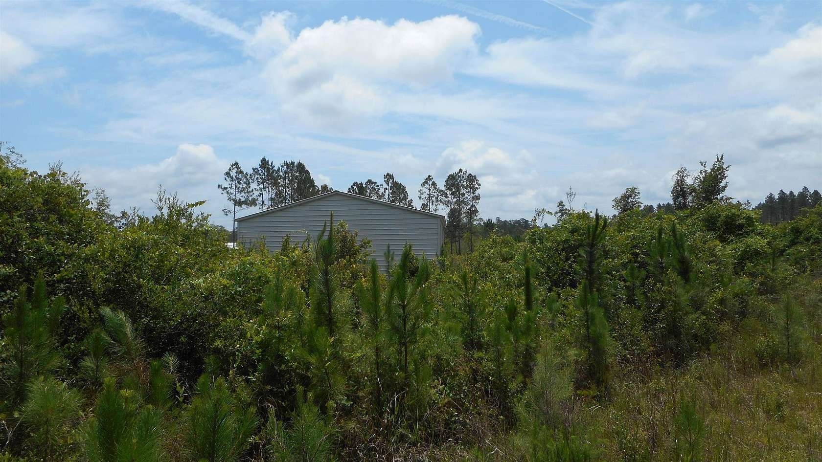 44 Acres of Land for Sale in Crawfordville, Florida