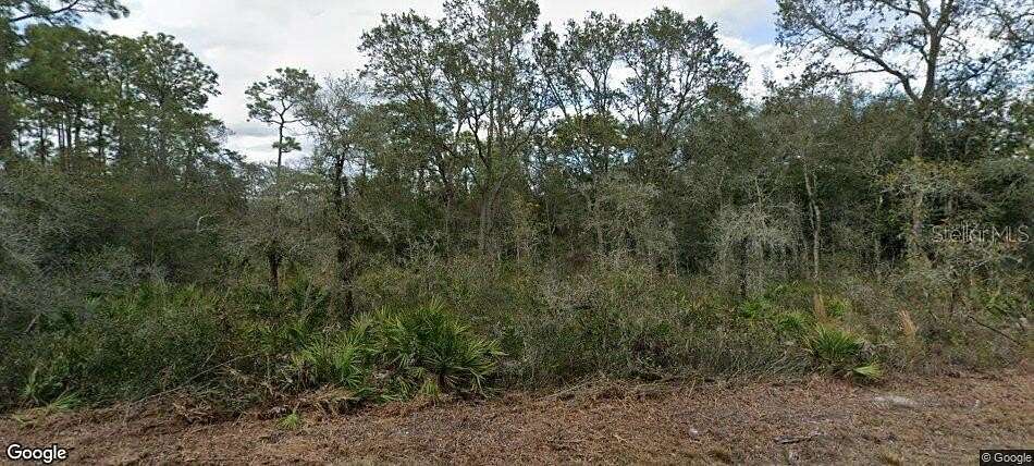 1.2 Acres of Residential Land for Sale in Webster, Florida