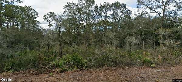 1.2 Acres of Residential Land for Sale in Webster, Florida