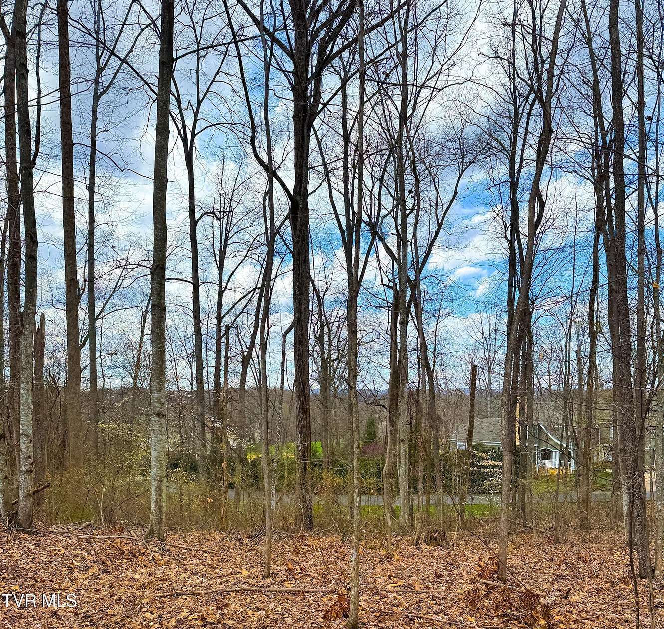 0.6 Acres of Residential Land for Sale in Bristol, Virginia