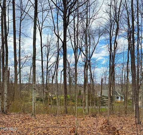 0.6 Acres of Residential Land for Sale in Bristol, Virginia